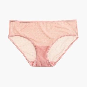 J. Crew Point D’Esprit Hipster Panty